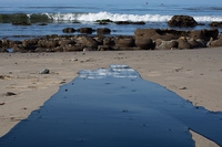 Damaged pipeline spills 400,000 litres of oil in California